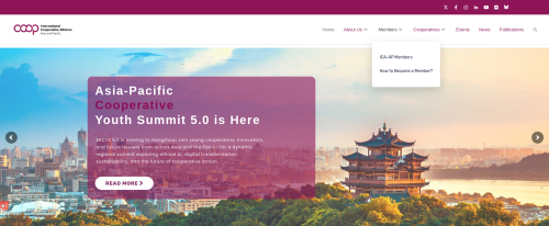 website slider home page