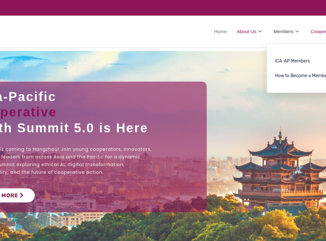 website slider home page